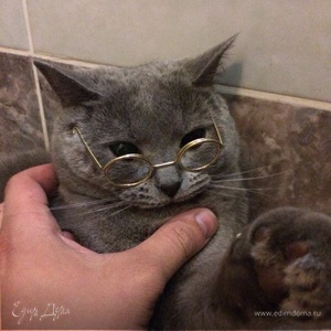 Фотография профиля