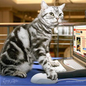 Фотография профиля