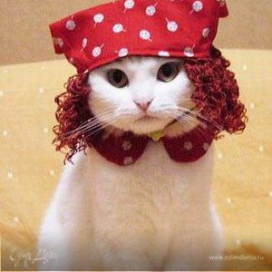 Фотография профиля