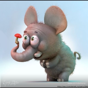 Фотография профиля