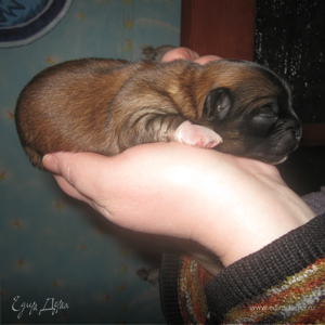 Фотография профиля