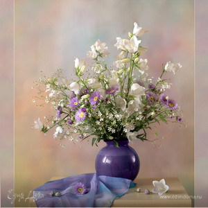 Фотография профиля