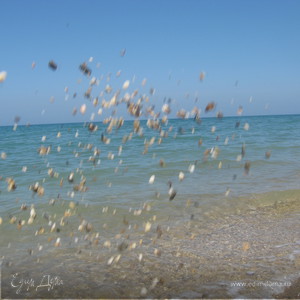 Фотография профиля