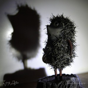 Фотография профиля