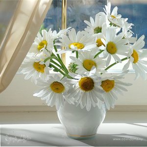 Фотография профиля