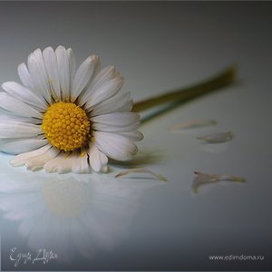 Фотография профиля