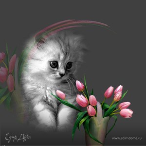 Фотография профиля