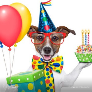 Фотография профиля