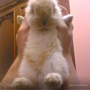 Фотография профиля