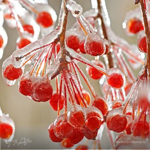 Фотография профиля