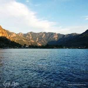 Фотография профиля