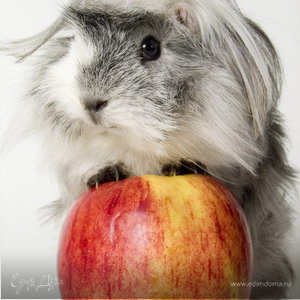 Фотография профиля