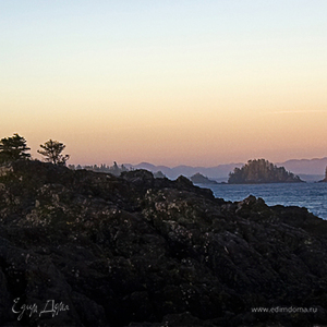 Фотография профиля