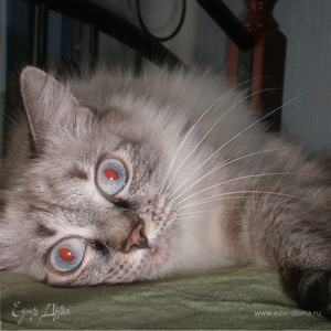 Фотография профиля