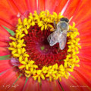 Фотография профиля