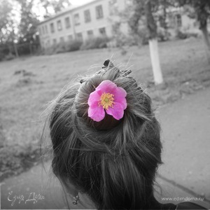 Фотография профиля