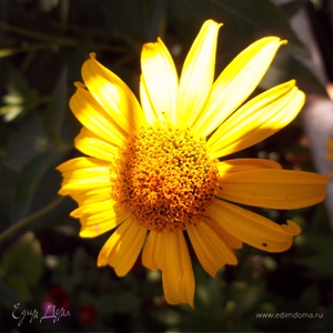 Фотография профиля