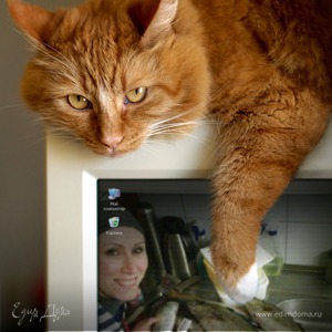 Фотография профиля