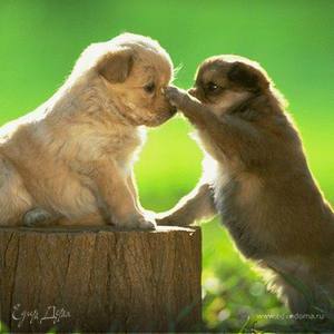 Фотография профиля