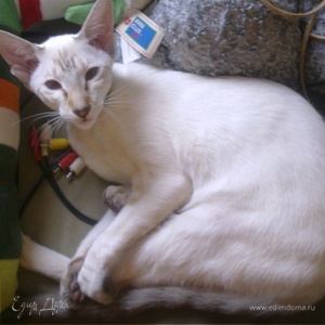 Фотография профиля