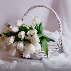 Фотография профиля