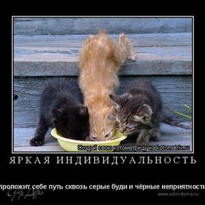 Фотография профиля