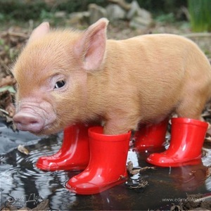 Фотография профиля