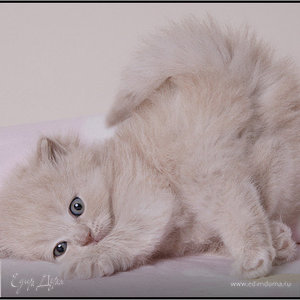 Фотография профиля