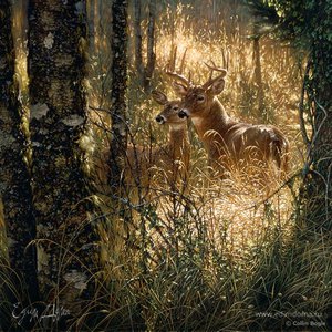 Фотография профиля