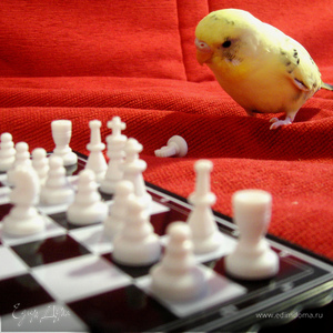 Фотография профиля