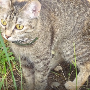 Фотография профиля