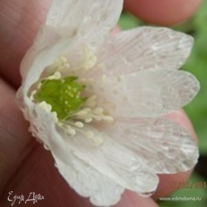 Фотография профиля