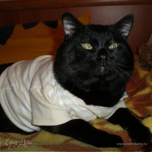 Фотография профиля