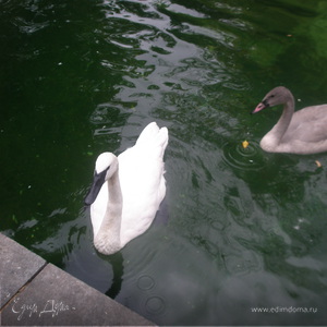 Фотография профиля