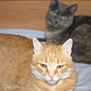 Фотография профиля