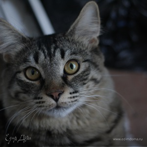 Фотография профиля