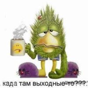 Фотография профиля