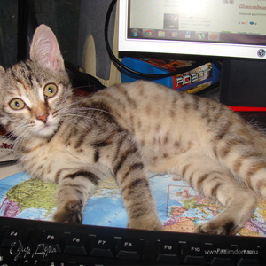 Фотография профиля