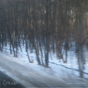 Фотография профиля