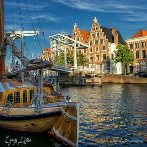 Фотография профиля