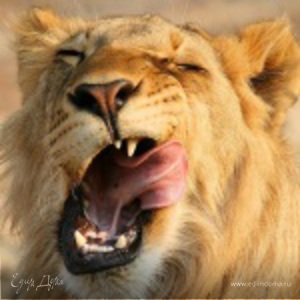 Фотография профиля