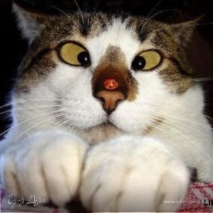 Фотография профиля