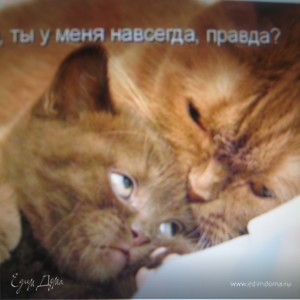 Фотография профиля