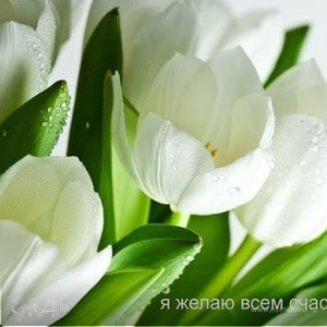 Фотография профиля