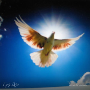 Фотография профиля