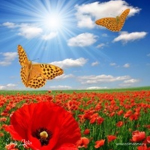 Фотография профиля