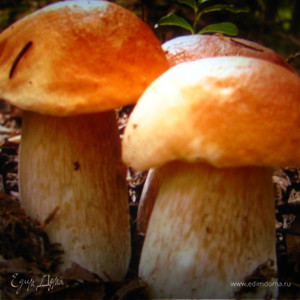 Фотография профиля