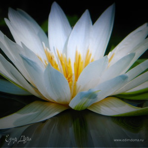 Фотография профиля