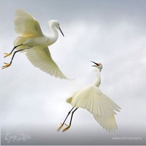 Фотография профиля