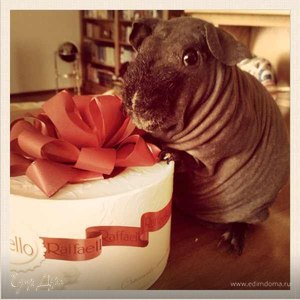 Фотография профиля